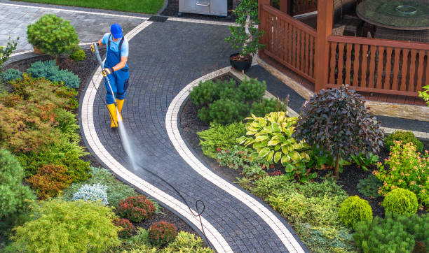 Best Exterior Home Cleaning  in Paradise Hills, NM